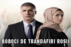 Boboci de trandafiri Episodul 28 Subtitrat in Romana